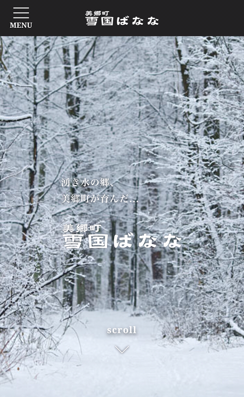 <?php echo esc_attr($image['alt']); ?>