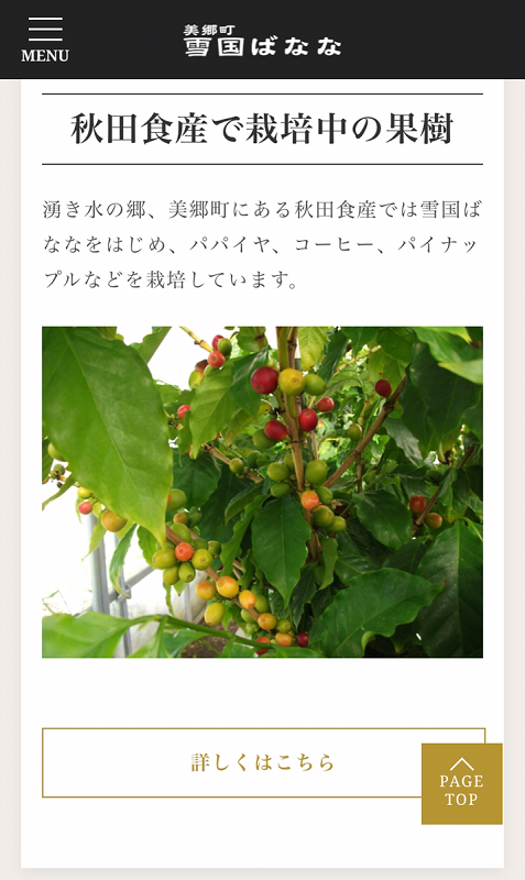 <?php echo esc_attr($image['alt']); ?>