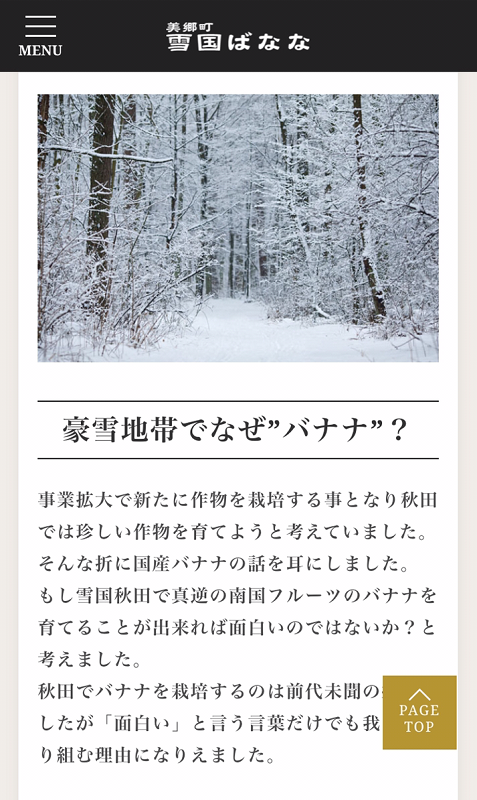 <?php echo esc_attr($image['alt']); ?>