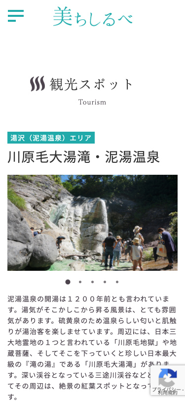 <?php echo esc_attr($image['alt']); ?>