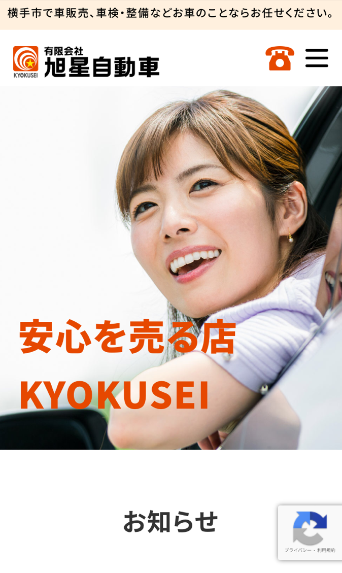 <?php echo esc_attr($image['alt']); ?>