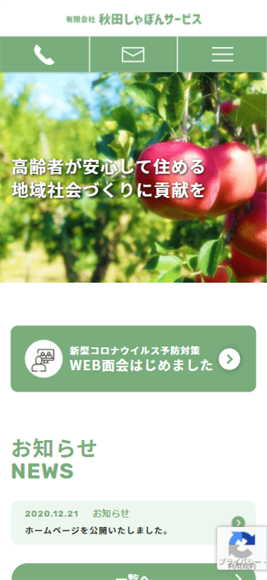 <?php echo esc_attr($image['alt']); ?>