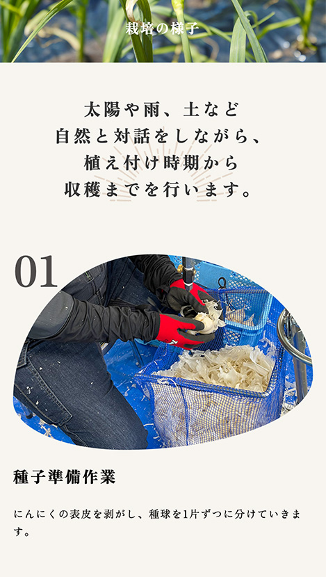 <?php echo esc_attr($image['alt']); ?>