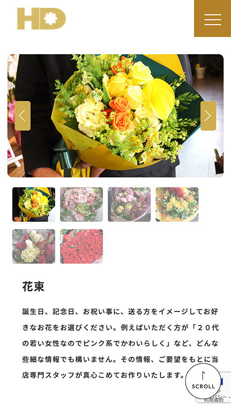 <?php echo esc_attr($image['alt']); ?>