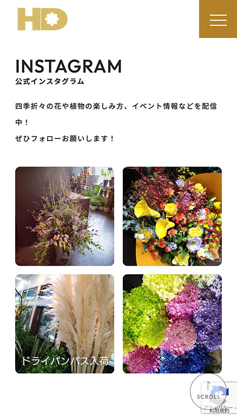 <?php echo esc_attr($image['alt']); ?>