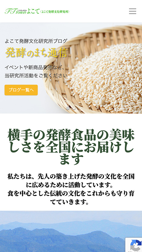 <?php echo esc_attr($image['alt']); ?>