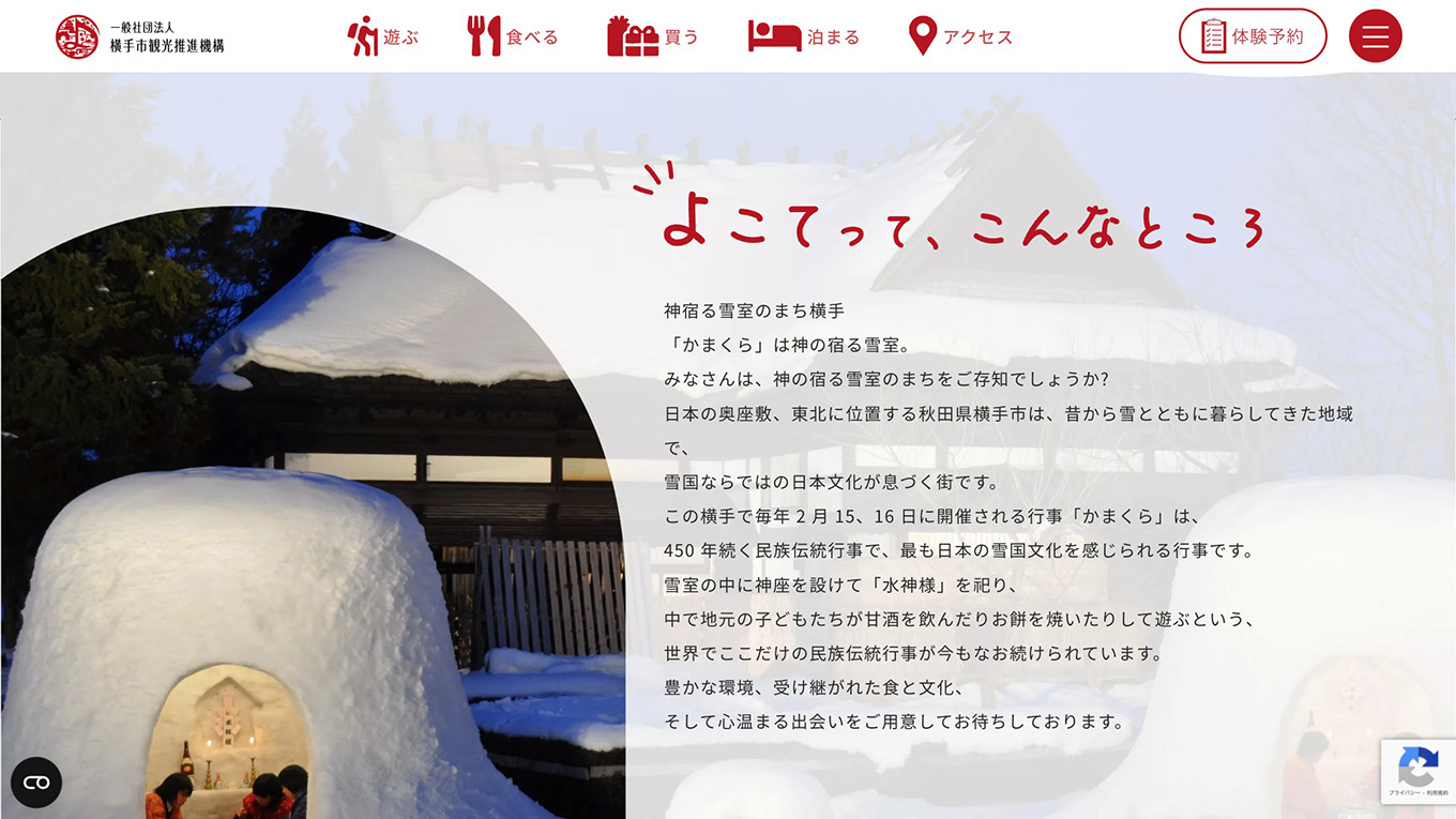 <?php echo esc_attr($image['alt']); ?>