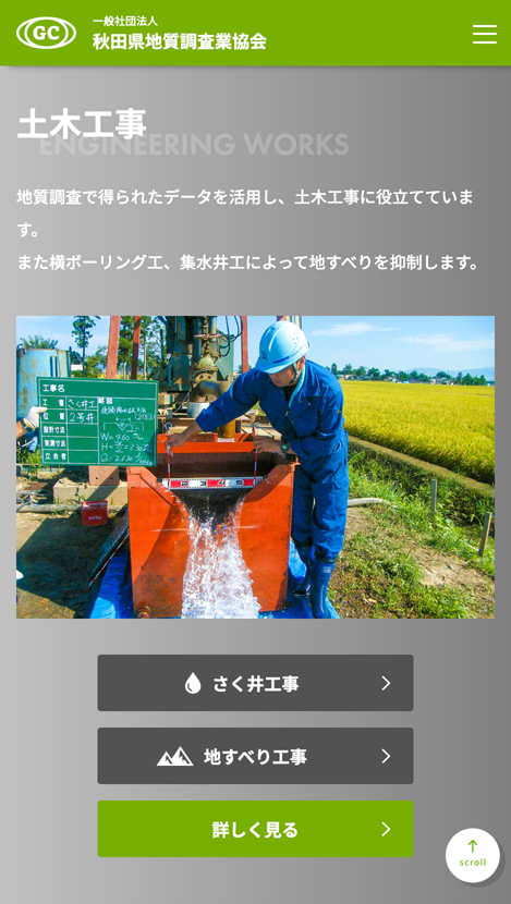 <?php echo esc_attr($image['alt']); ?>