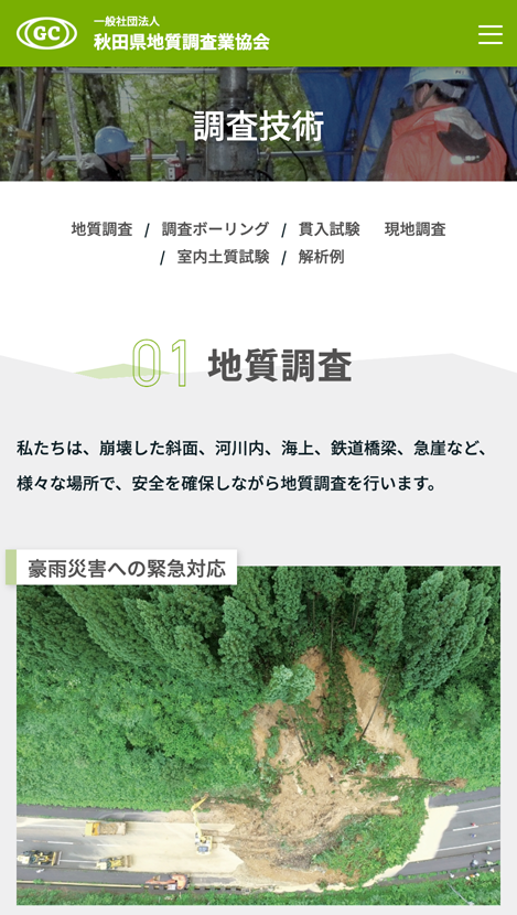 <?php echo esc_attr($image['alt']); ?>